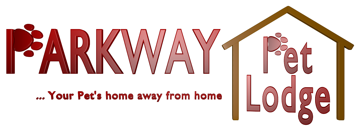 Pittsburgh Pet Hotel Pittsburgh's Premier Pet Hotel Dog, Cat